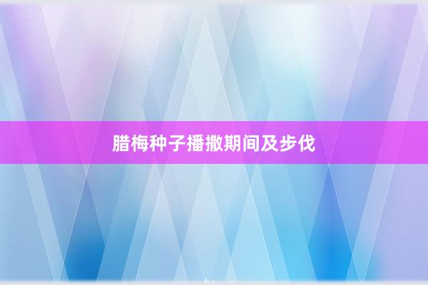 腊梅种子播撒期间及步伐