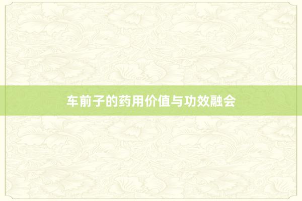 车前子的药用价值与功效融会
