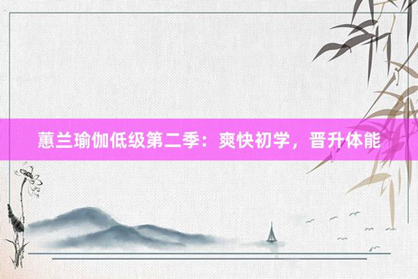 蕙兰瑜伽低级第二季:爽快初学,晋升体能