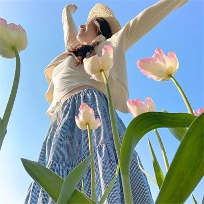 哈马舍尔德悬案